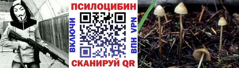 Псилоцибиновые грибы Psilocybine cubensis Сосновка